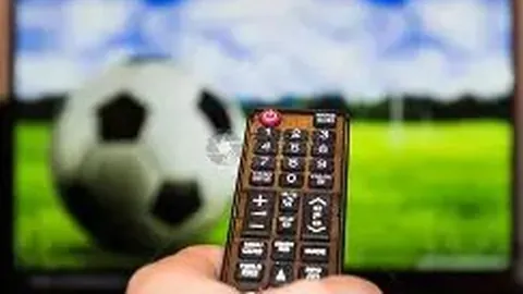 深圳队重返中超指日可待，须遵循规则提交递补材料